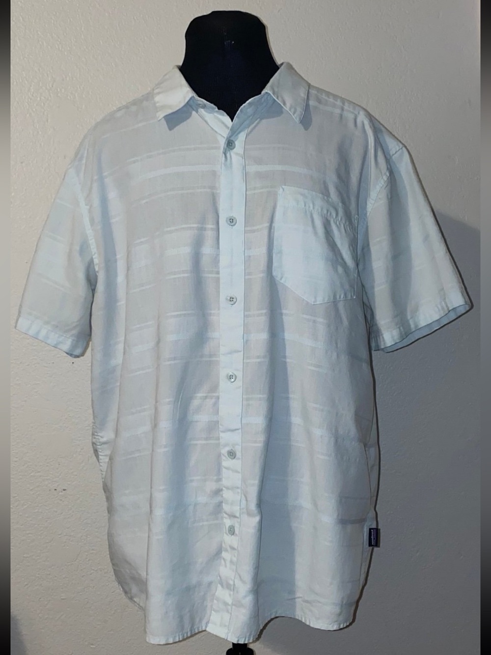 Patagonia Men's L Short Sleeve Button Up Shirt Light blue  Stripe Organic Cotton